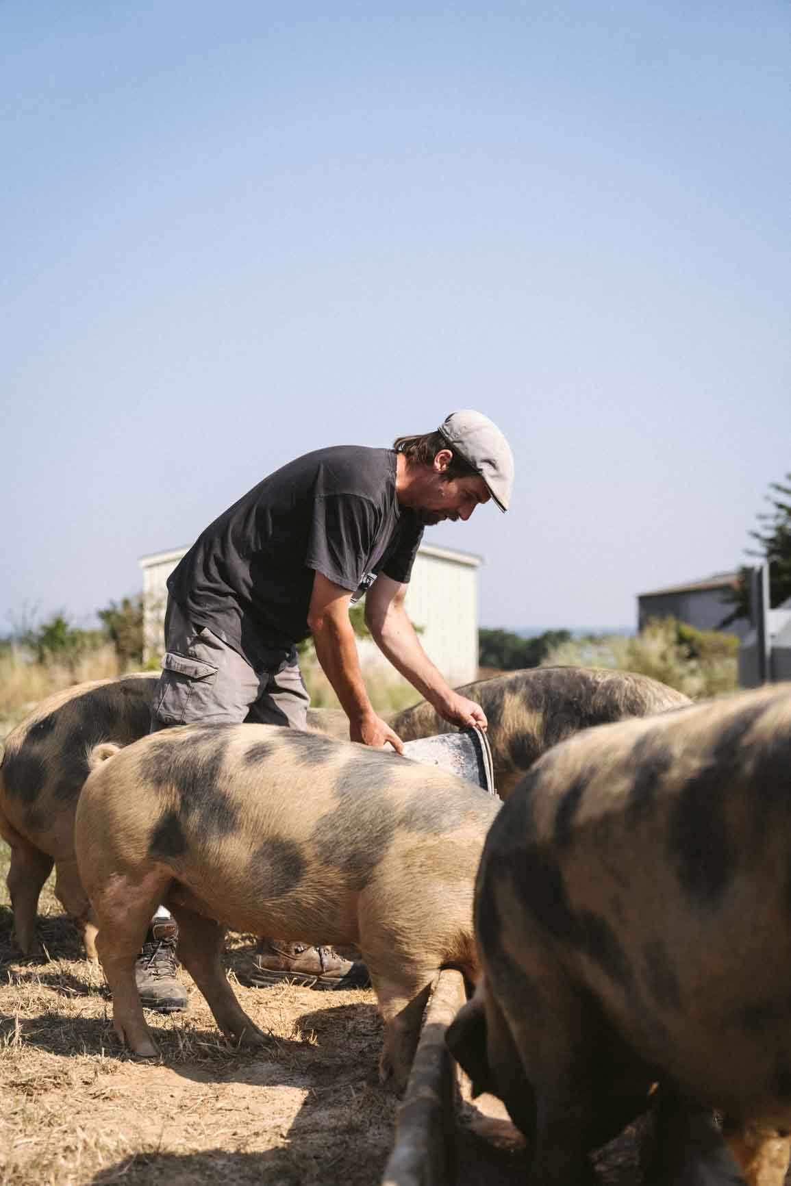 Éleveur et son troupeau, producteur partenaire des Résistants