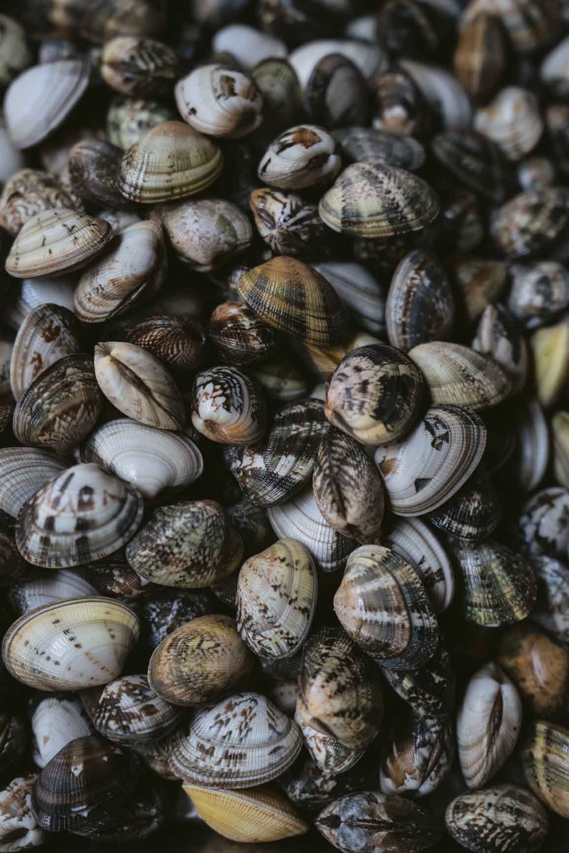 Noisettes d’un producteur partenaire, produits vivants des Résistants