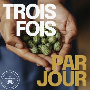 Le Comptoir des Résistants présenté dans Trois fois par jour